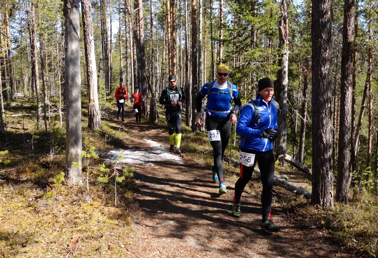 53km_alkumatka