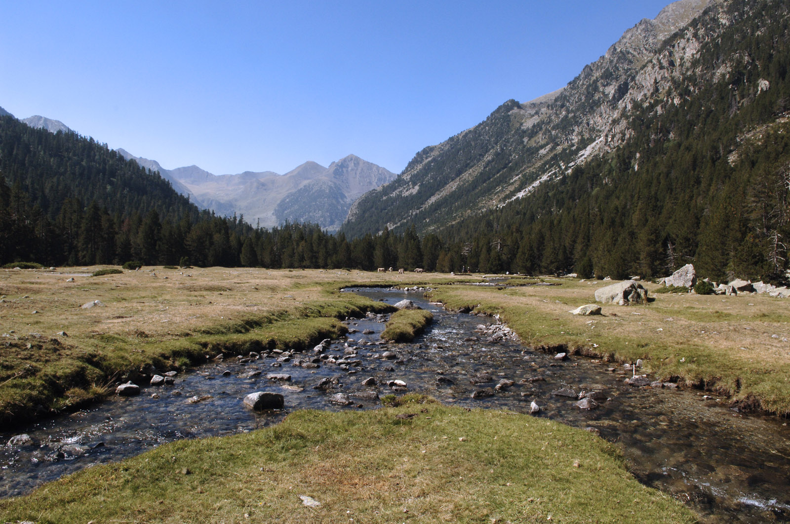 Kisareitin maisemia. Kuva: Buff Epic Trail