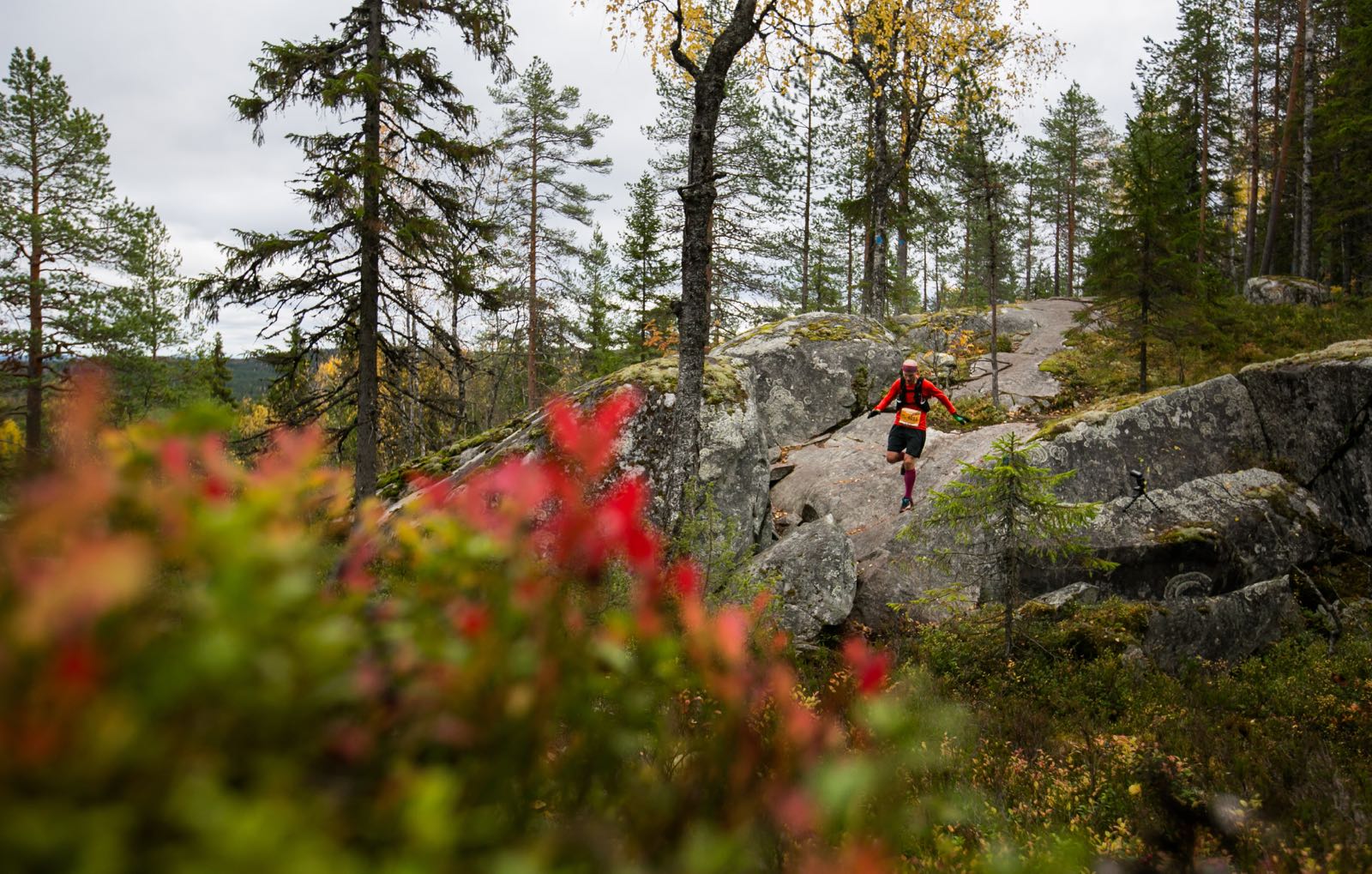 Tomi Halme maastoutui ruskan väreihin. Kuva: Aapo Laiho