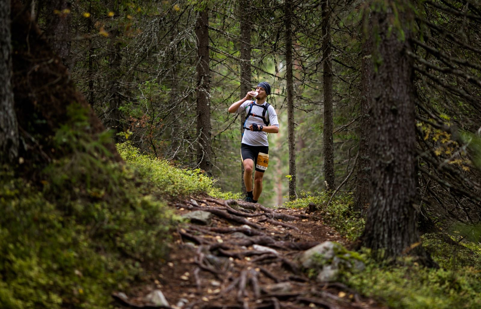 Tunnelmia reitin varrelta