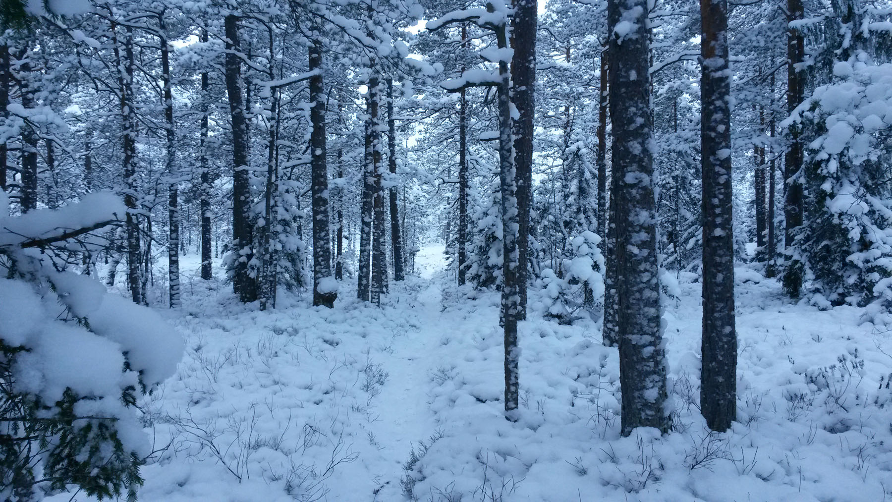 20160110_Meiko_AnneD 1800x1000