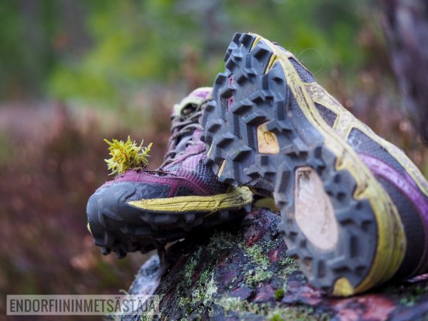 Hyvin palvellut polkujuoksulenkkari Kuva: Terhi Jaakkola