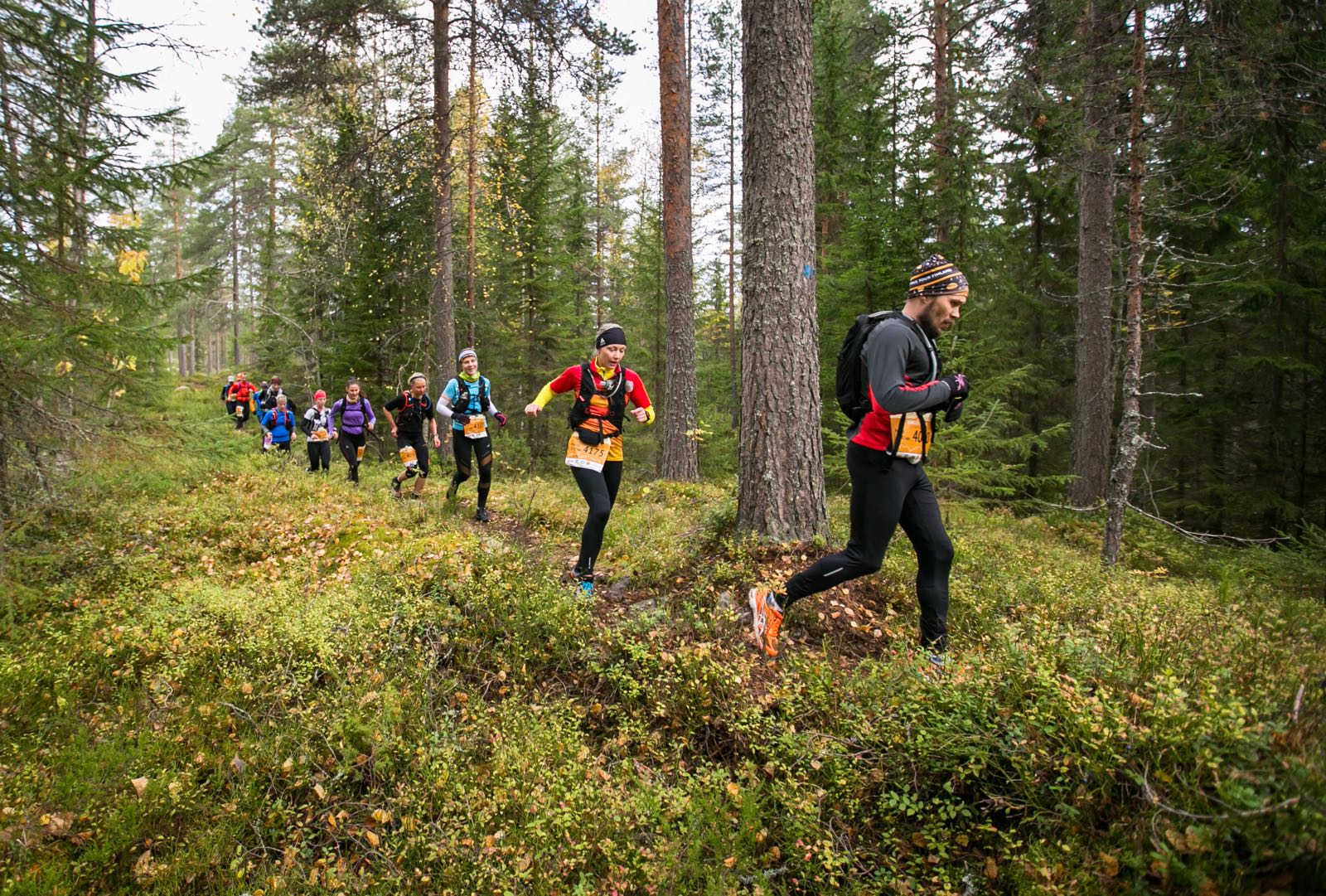 3.10.2015 Koli, Vaarojen Maraton: juoksijoiden letka noin 100 km kohdalla