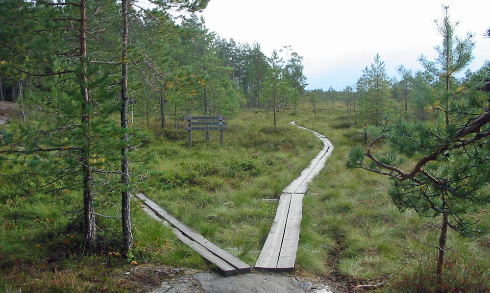 Kuva: Wikimedia commons