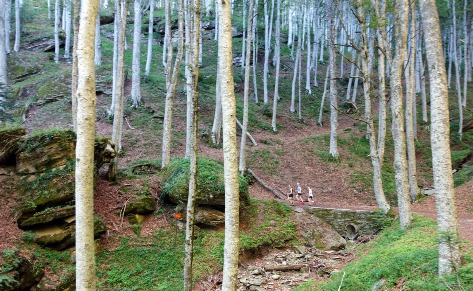 Tiedustelulenkillä reitin varrella