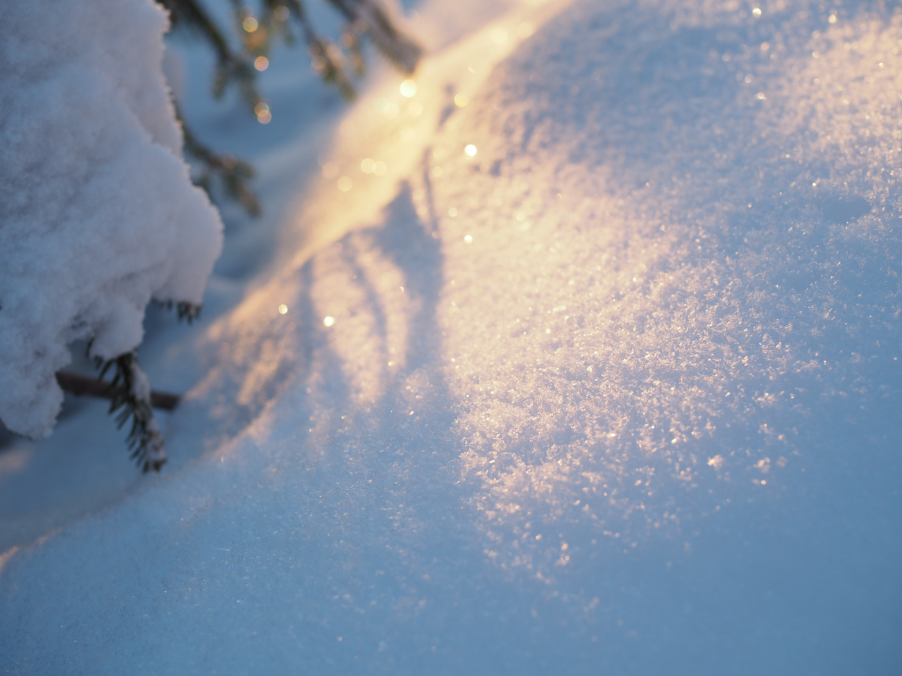 Talvipolkujuoksu Kuva: Terhi Jaakkola
